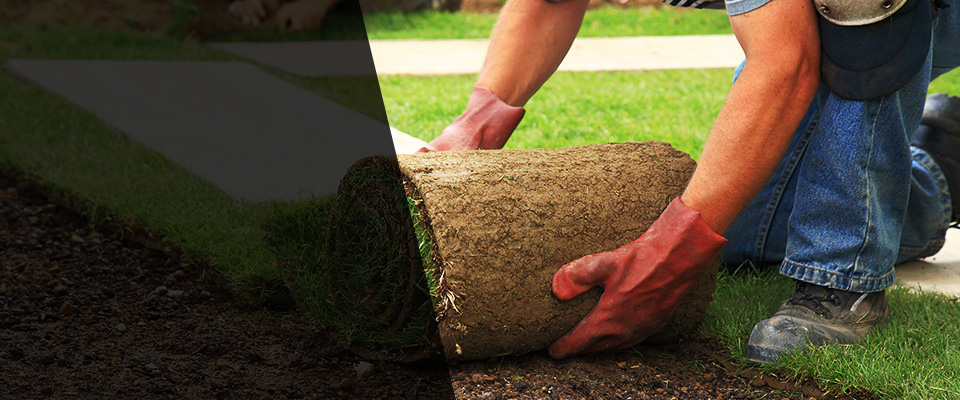 Prospect Landscapers